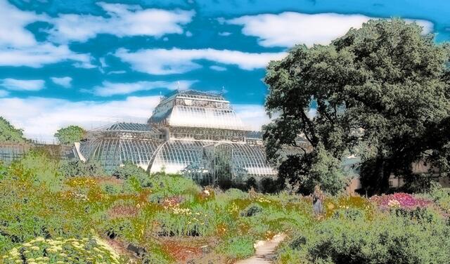 Amadeus 1 Punkt - St. Petersburg