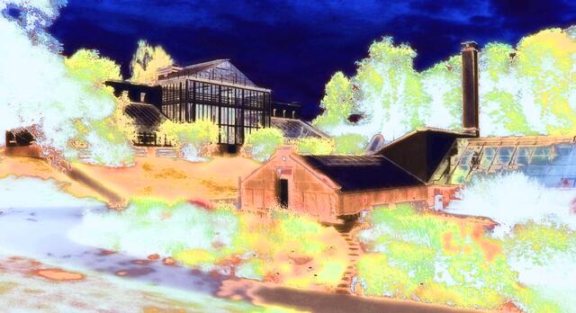 Susanne 1 Punkt - Oslo