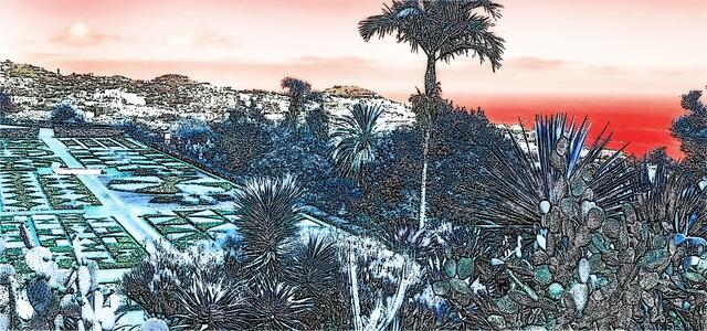 Susanne 1 Punkt - Funchal