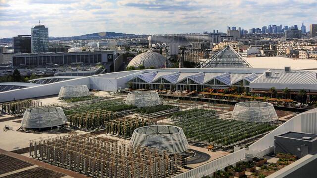 Die größten Dachgärten der Welt (Paris)