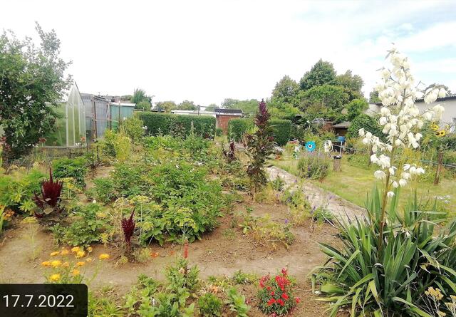 17.7.2022 !!! Gartenschau - Sonntagsbilder 2022 !!!  Temperaturen: Früh 5h04  8,1 Grad / 10:19 18,9° plus / 13:21 278° plus | Foto: MW-FotoNebra