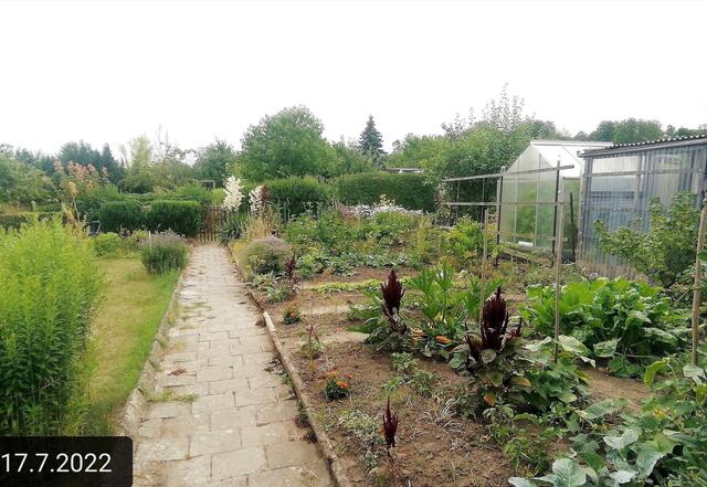 17.7.2022 !!! Gartenschau - Sonntagsbilder 2022 !!!  Temperaturen: Früh 5h04  8,1 Grad / 10:19 18,9° plus / 13:21 278° plus | Foto: MW-FotoNebra