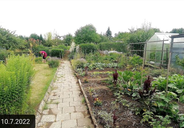 10.7.2022 !!! Gartenschau - Sonntagsbilder 2022 !!!  Temperaturen: Früh 5h07 13,1 Grad / 10:19 14,9° plus / 13:24 17,8° plus | Foto: MW-FotoNebra