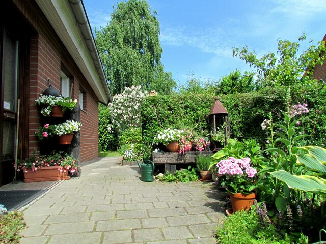 So schön siehts bis zum Zugang zur Haustür aus