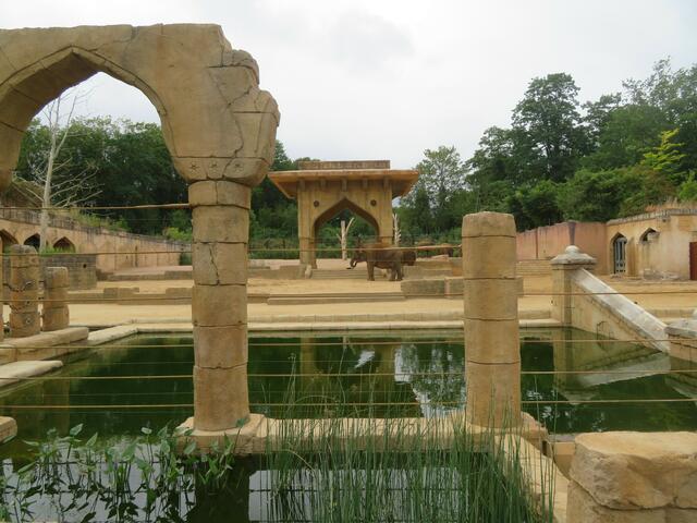 Sehr schön, der größere Auslauf, für die Elefanten