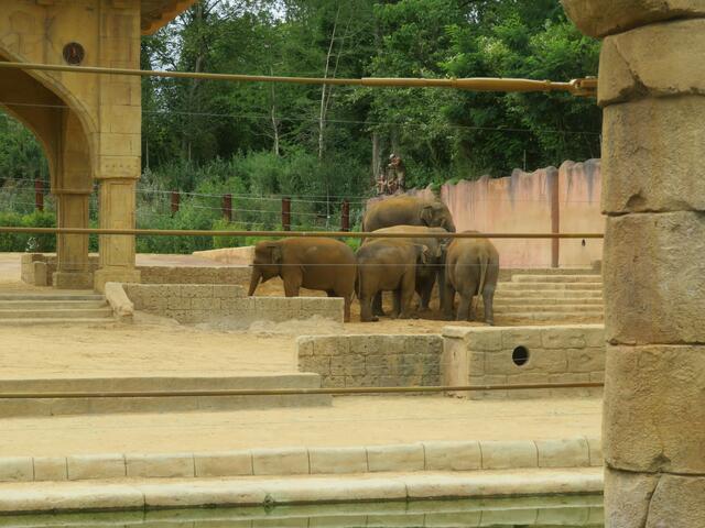 Hielten sich alle zusammen auf.