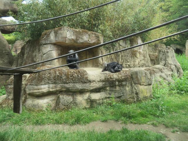 Die waren sehr müde.