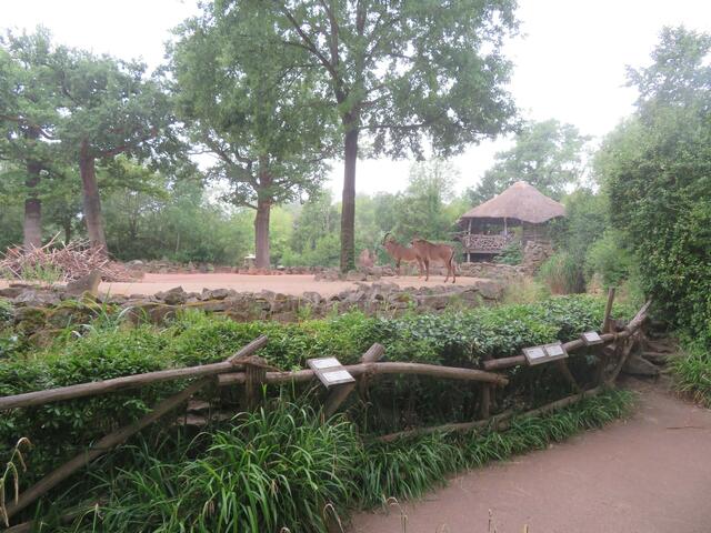 Bei der Kahnfahrt gesehen.