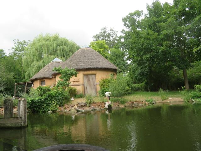 Störche am Ende der Flußfahrt