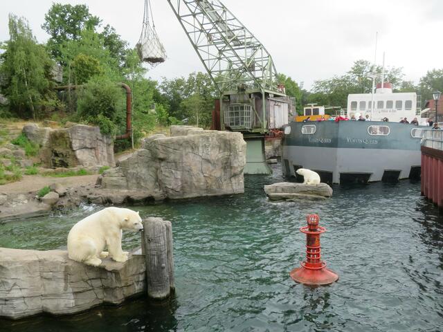 Gut das sich beide Eisbären gezeigt haben.