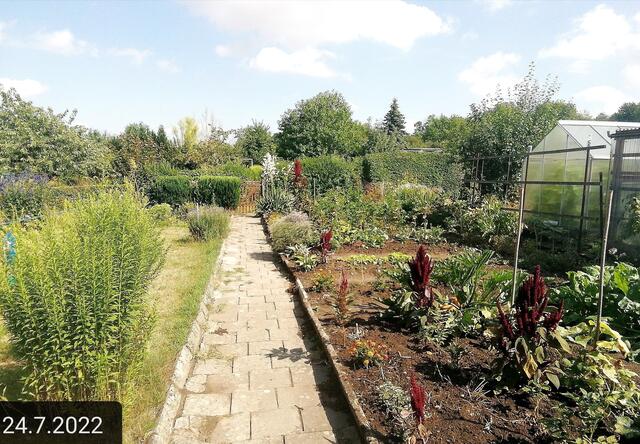 (2) 24.7.2022 !!! Gartenschau - Sonntagsbilder 2022 !!!   Temperaturen: Früh 5h 24 13,6 Grad / 10:31h 20,9° plus / 13:21h 28,9° plus