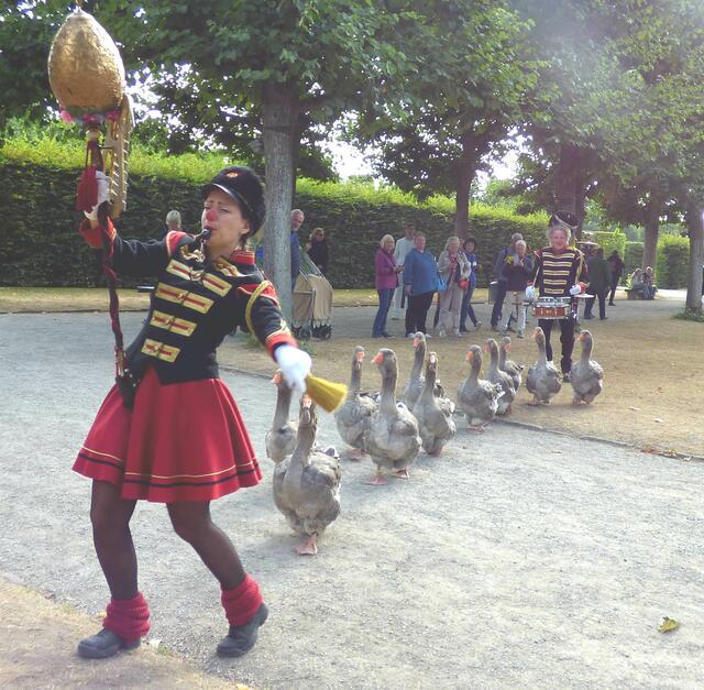 Die Gänsekapelle ist mit  den Toulousegänsen aus den Niederlanden anmarschiert gekommen.