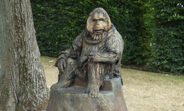 Bin ich hier im Zoo?