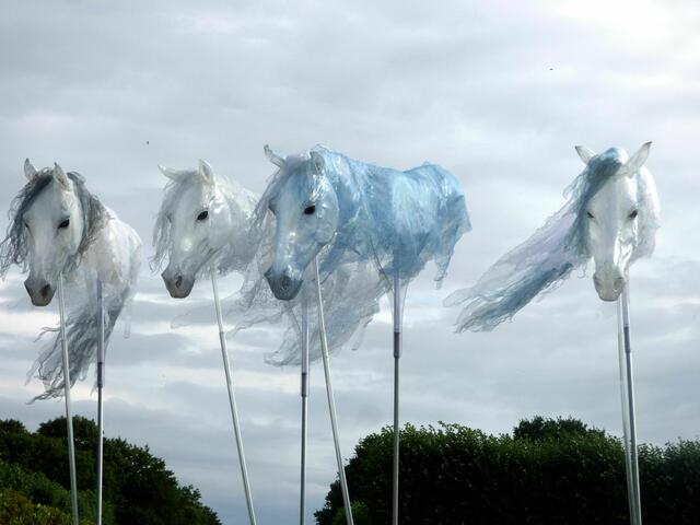 Pferde der Winde