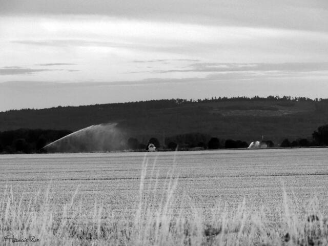 Abgeerntete Felder, Wassersprengler und Baumschäden am Berg