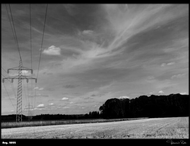 Stromtrasse mit Feld und Wald