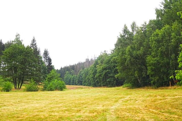 Uhlenbachtal