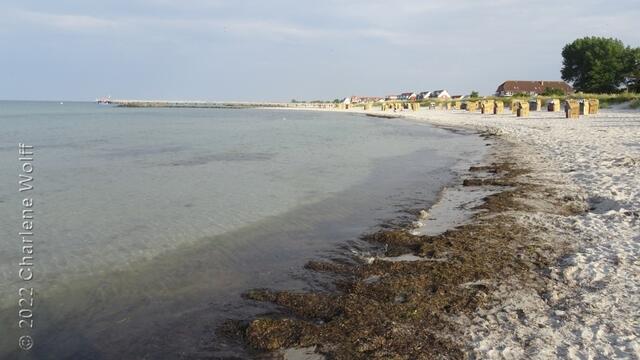 Ostseestrand in der Probstei