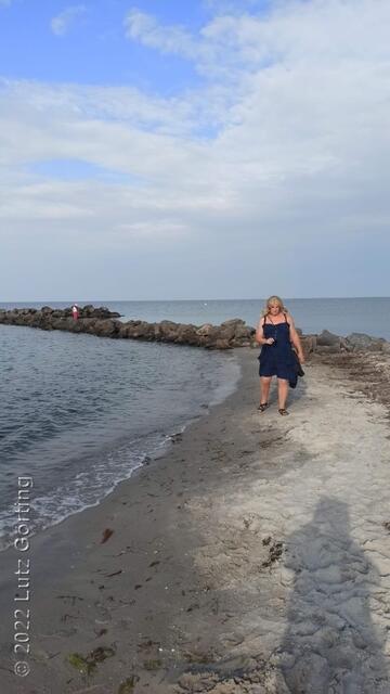 Dunen halten den Sand fest