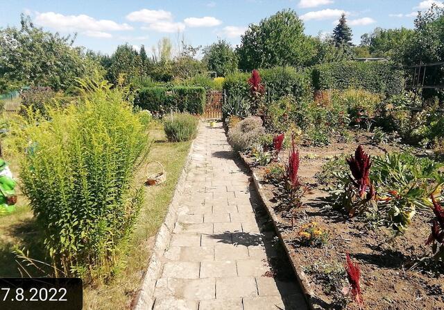 7.8.2022 !!! Gartenschau - Sonntagsbilder 2022 !!! Temperaturen: Früh 3:08 9,3 Grad / 11:11h 18° / 13:26 h 28, 9° plus | Foto: MW-FotoNebra