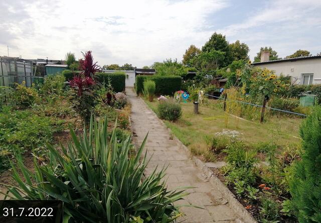 31.7.2022 !!! Gartenschau - Sonntagsbilder 2022 !!! Temperaturen: Früh 6:08 13,3 Grad / 11:01h 18° / 13:26h 23, 9° plus | Foto: MW-FotoNebra