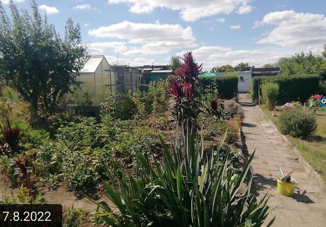 7.8.2022 !!! Gartenschau - Sonntagsbilder 2022 !!! Temperaturen: Früh 3:08 9,3 Grad / 11:11h 18° / 13:26 h 28, 9° plus | Foto: MW-FotoNebra
