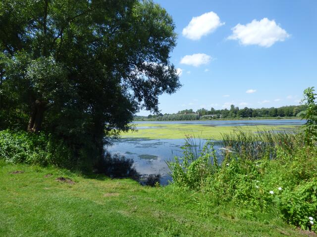 Und wieder Grün und Blau! :-)))))))))