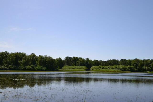 Sommer 2022 - Würmsee fällt trocken: Vergleichsbild Juli 2021 (Foto: Katja Woidtke) | Foto: Katja Woidtke