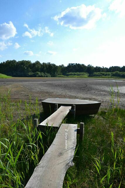 Sommer 2022 - Würmsee fällt trocken: Rund um den Steg schwirren eigentlich unzählige Libellen (Foto: Katja Woidtke) | Foto: Katja Woidtke