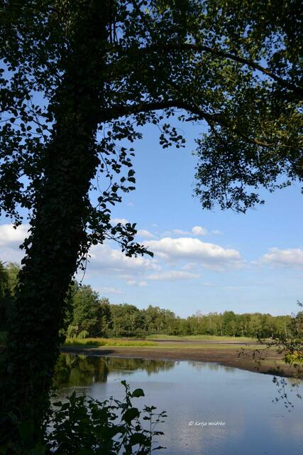 Sommer 2022 - Würmsee fällt trocken: Wie lange mag das letzte Wasser am Würmsee noch den heißen Temperaturen trotzen? (Foto: Katja Woidtke) | Foto: Katja Woidtke
