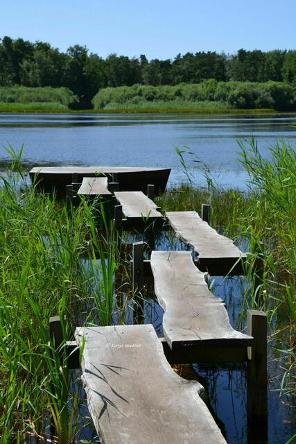 Sommer 2022 - Würmsee fällt trocken: Vergleichsbild Juli 2021 (Foto: Katja Woidtke) | Foto: Katja Woidtke