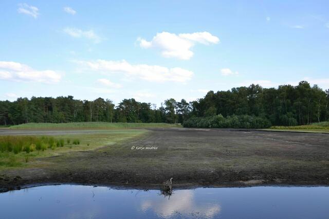 Sommer 2022 - Würmsee fällt trocken: Die letzte, größere Wasserstelle... (Foto: Katja Woidtke) | Foto: Katja Woidtke