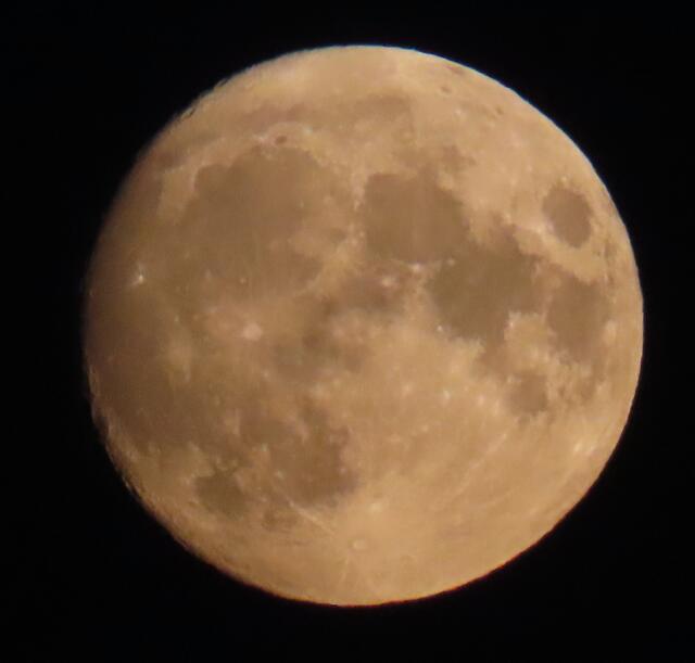 Fast Vollmond ... das Foto (voll ausgefahrener Zoom und ohne Stativ) habe ich gegen 21.35 Uhr von unserem Garten aus gemacht.
