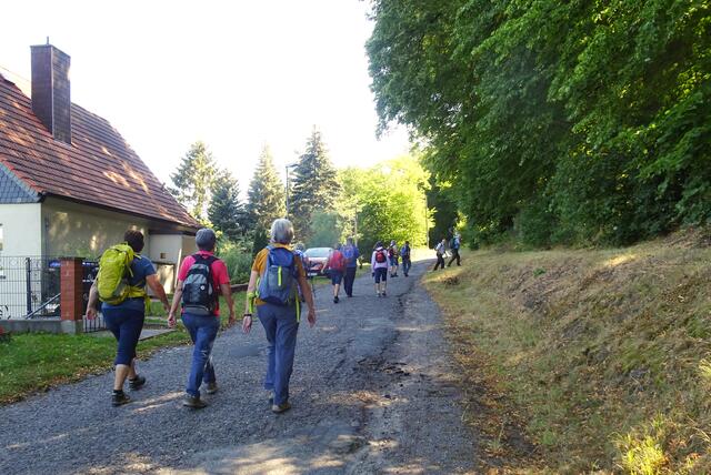 auf der Waldstraße in Wippra