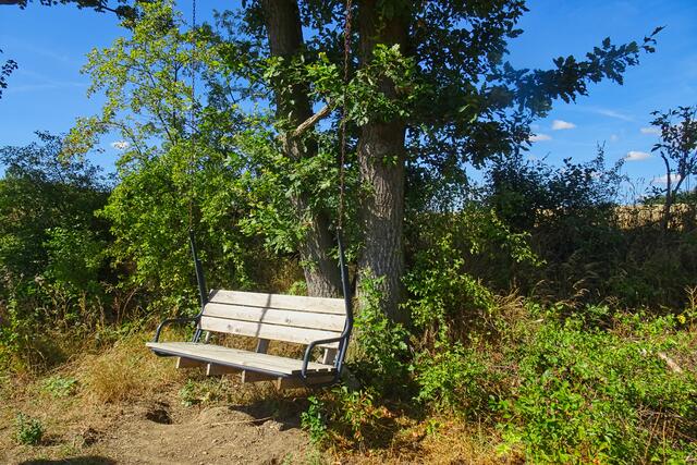 eine Hängebank am Lutherweg