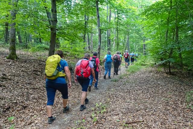 auf dem Weg zur NES "Kleebeck"