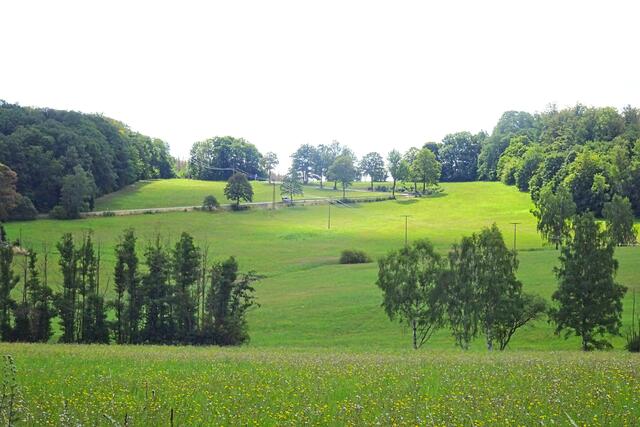 auf dieser Wiese im Brumbachtal befand sich die, jetzt wüste, Siedlung Brumbach