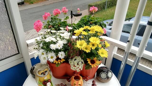 Heute ein paar Bilder von Marlies Balkon 2021-2022 !  14.8.2022 !!! Gartenschau - Sonntagsbilder 2022 !!!