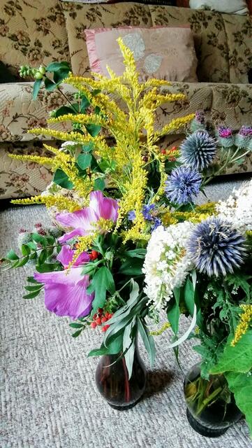 Wildblumenstrauß - Heute ein paar Bilder von Marlies Balkon 2021-2022 !  14.8.2022 !!! Gartenschau - Sonntagsbilder 2022 !!!