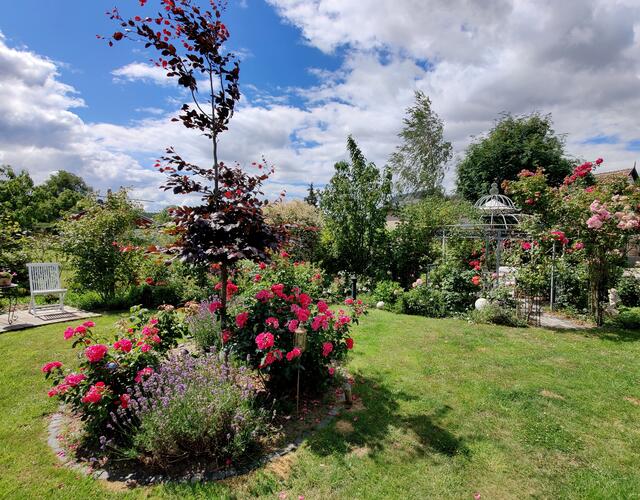 Herrlich wohnen und entspannen mitten in einem Rosengarten!