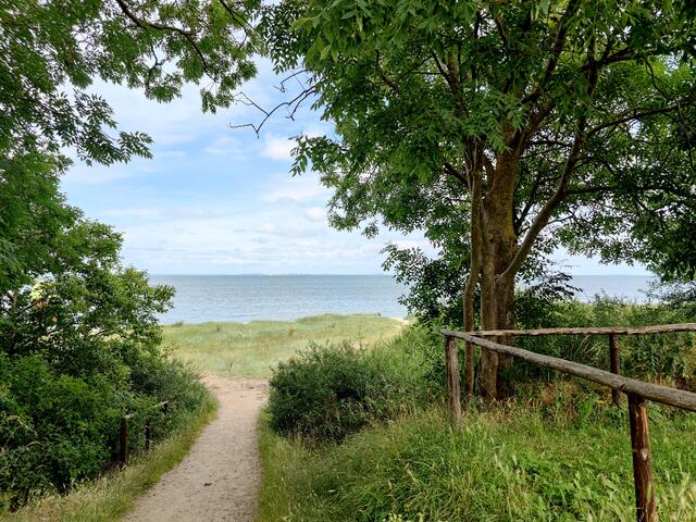 Ein malerisch schöner Durchblick auf die Ostsee.