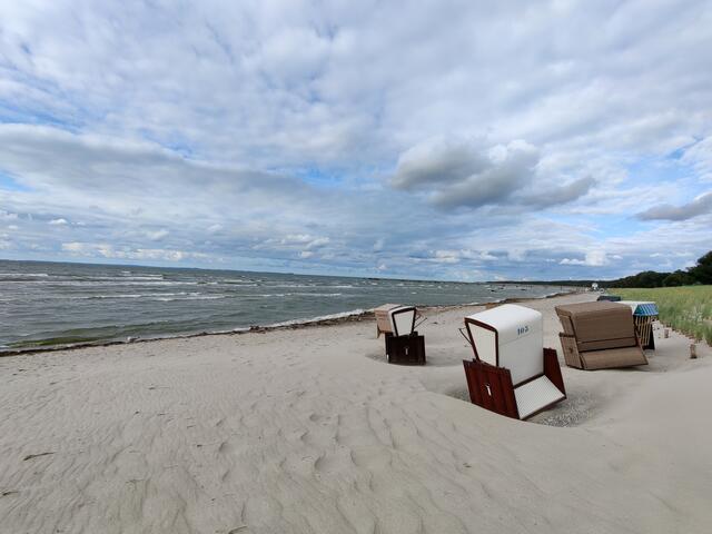 Kleine Strandkorboase!