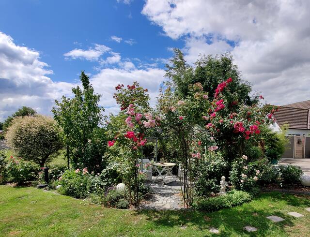 Hier gibt es viele herrliche Plätze draußen im Garten mitten in der - im Juli - farbenprächtig blühenden Natur.