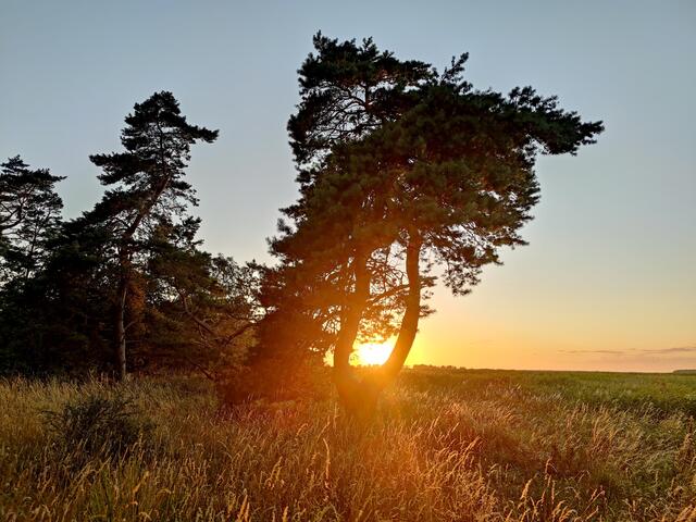 ...der die Landschaft verzaubert und in ein besonderes Licht hüllt.
