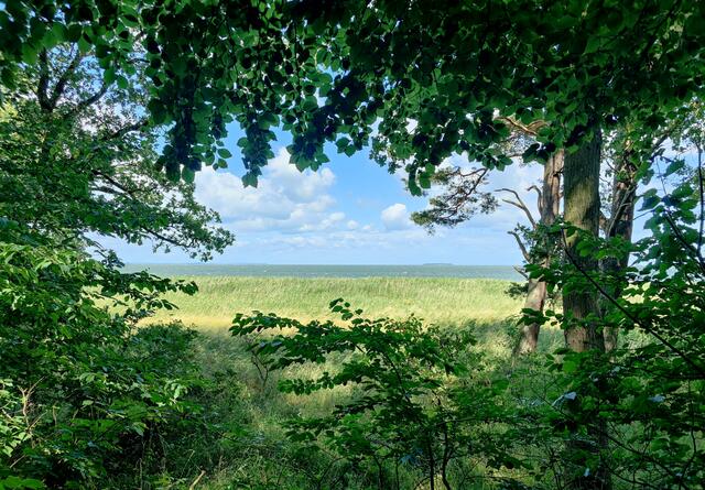 ...und entdeckt dabei auch viele idyllische und romantische "Fenster zum Meer". Durchblicke durchs Grün im Kontrast zum blauen Himmel und Meer. Wer möchte hier nicht seinen Stuhl (Es wird stets auf dem Gepäckträger eine leichte Variante mitgeführt) aufklappen und eine Zeit lang verweilen.