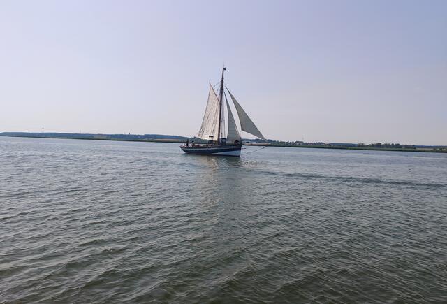 Das Schiff zog mich in seinen Bann! So forschte ich und fand interessantes über die Geschichte und seine Nutzung heraus. Dazu folgender Link: https://mytilus.de/schiff_ansichten.shtml
