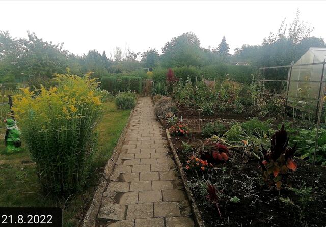 (1) 21.8.2022 !!! Gartenschau - Sonntagsbilder   Temperaturen: Früh 6:18 18,3 Grad / 11:25h 20° / 13:16 h 22, 9° plus