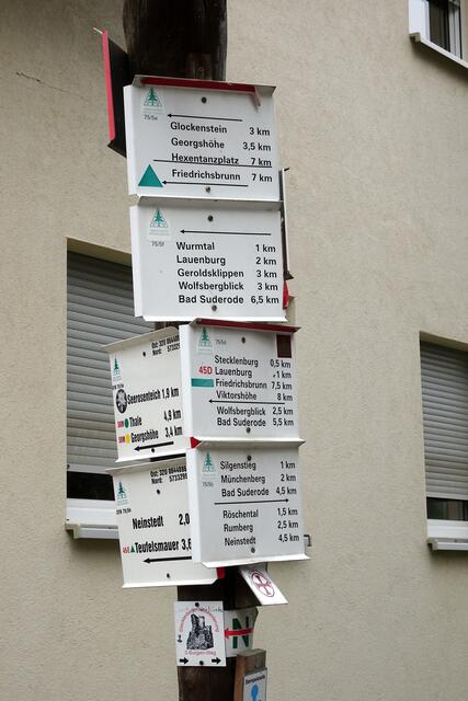 Schilderbaum in Stecklenberg