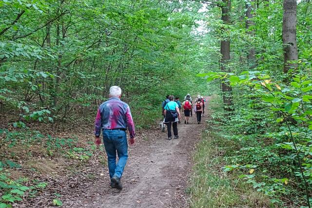 hier im schattigen Laubwald lässt es sich gut wandern