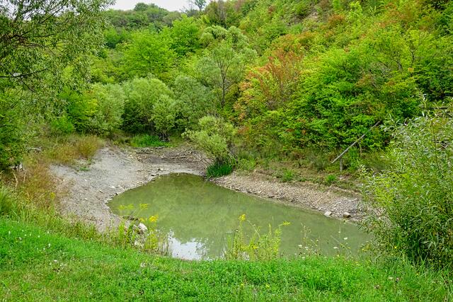 der kleine See am Rumberg in Neinstedt ist fast ausgetrocknet